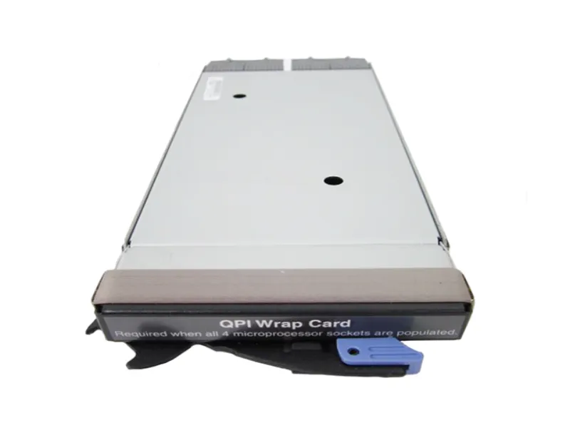 00D0561 IBM QPI Wrap Card for x3950 / x3850 X5 System