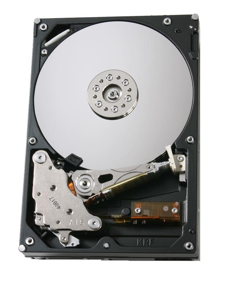 0A35153 Hitachi Ultrastar A7K1000 1TB 7200RPM SATA-300 ...