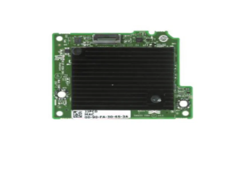 GPFRJ Dell Dual-Port 10GBE Blade Network Daughter Card